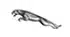 Jaguar brand logo